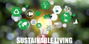 Sustainable Practices for a Greener Lifestyle
